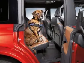 Vm1pz-78600e03-e Ford New Oem Covercraft Size Large Pet Harness 2021-2025