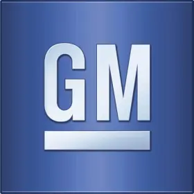 22737038 Gm Genuine Cargo Net
