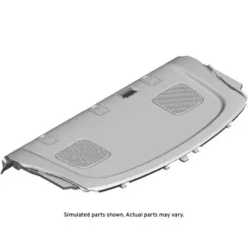 26218688 Gm Genuine Pkg Tray Trim