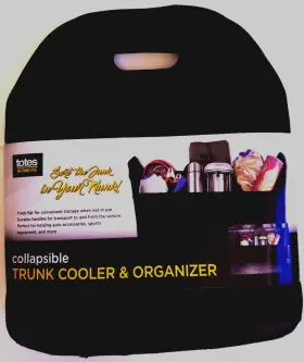 Totes 814190020102 Automotive Collapsible Trunk Organizer Cooler And New Never Used