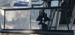 03-10 Porsche Cayenne Pull Up Net Partition Screen Assembly Oem. Fixed Price $149.95.