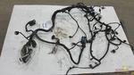 2013 Ford Escape Engine Wire Harness 1-13,1.6L,6SPD Auto,awd,se. Fixed Price $285.00.