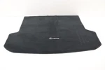 2016 - 2022 Lexus RX350 Rear Trunk Floor Cargo Area Tray Cover Mat Oem. Fixed Price $89.90.