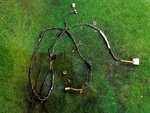 1999 Subaru Forester Roof Wire Harness Wiring Loom Oem 81801FC010. Fixed Price $12.00.