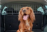 Trav All Mercedes Gle Dog Guard (2019-2023) Pet Barrier. Fixed Price $109.00.