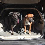 Travall Pet Barrier For Jeep Grand Cherokee Wk 2005-2010 With Divider. Fixed Price $250.00.