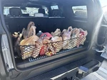 Rear Trunk Bed Envelope Style Mesh Cargo Net For Gmc Hummer Ev Suv 2024-2025 New. Fixed Price $19.95.