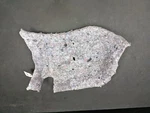 Right Pass. Wheelhouse Silencer Insulator 68243274AB 2016 Dodge Charger 11-2021. Fixed Price $99.00.
