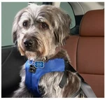 Subaru Pet Harness Ascent Impreza Outback Crosstrek Forester 4 Sizes Genuine. Fixed Price $78.73.