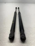 2016- 2020 Kia Optima Left & Right Hood Lift Support Shock 81161D5000 Oem 231976. Fixed Price $40.50.