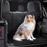 Genuine Mopar Pet Partition 82215378AB. Fixed Price $247.08.