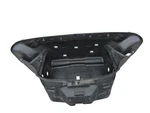 DP51299 Lucid Air 2022 2023 2024 2025 Front Frunk Compartment Bin Storage Oem. Fixed Price $479.99.