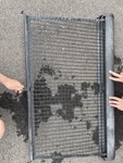 Audi Allroad 2005 Wagon Cargo Net Pet, Dog, Cat Retractable Divider Oem. Fixed Price $40.00.
