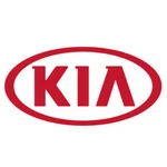 Genuine Kia Cargo Net Sorento U8170-1U0P0. Fixed Price $31.58.