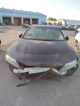 Left Blk Front Door Assembly Oem 13-17 Honda Accord. Fixed Price $163.00.