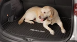 Genuine Toyota Cargo Tray PT218-42061. Fixed Price $69.95.