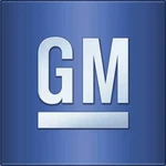 Genuine Gm 2006-2009 Pontiac Torrent Base Gxp Cargo Net Assembly Black 22737038. Fixed Price $28.79.