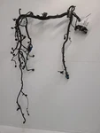 2013 Ford Escape Engine Wire Harness 1.6L Aod Fwd. Fixed Price $252.70.
