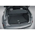 2024-2025 Cadillac XT4 Premium Carpeted Cargo Mat 42821101 Black W/ Logo Oem Gm. Fixed Price $244.98.
