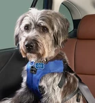 Genuine Subaru Accessory Pet Harness Large- Universal Fit SOA854H020. Fixed Price $91.00.
