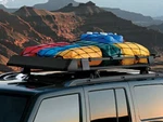 Genuine Mopar Net Kit 82209422AB. Fixed Price $78.23.