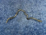 2016-2019 Buick Cascada Air Intake Drain Tube Hose Pipe Oem 13254521 Gm. Fixed Price $65.00.