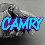 Camry 3D Emblem Badge Multicolor Acrylic Toyota Car Fender & Trunk Decal. Fixed Price $19.99.
