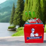 Yakimoto 14QT Portable Car Ice Chest,auto Parts Cooler,for Rv Travel Outdoor. Fixed Price $149.99.
